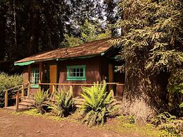 Emerald Forest Cabins