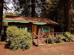 Emerald Forest Cabins