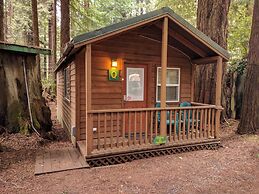 Emerald Forest Cabins