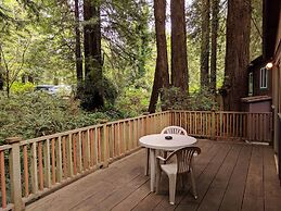 Emerald Forest Cabins