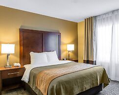 Comfort Inn & Suites Ventura Beach