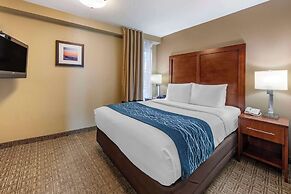 Comfort Inn & Suites Ventura Beach