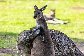 COAST motel and apartments
