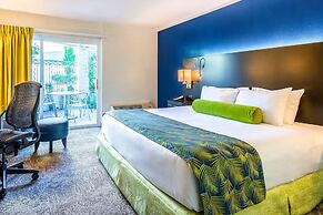 Oasis Hotel & Conv. Center, an Ascend Collection Hotel