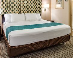 Suburban Studios Avondale