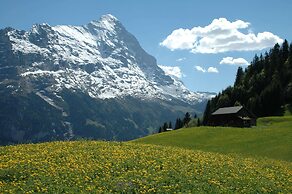 Hotel Silberhorn - Residences & Spa Wengen