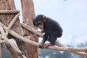 Best Western Hotel Hohenzollern