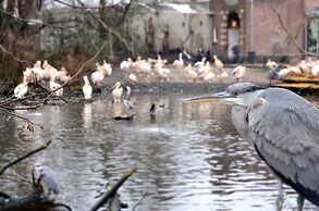 The College Hotel Amsterdam, Autograph Collection