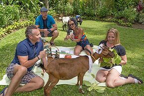 Sunset at the Palms Resort - Adults Only - All Inclusive