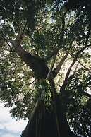 Trisara Villas & Residences Phuket