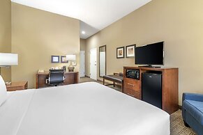 Comfort Inn & Suites Dover-Portsmouth