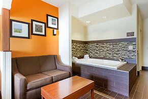 Comfort Suites Stevensville - St. Joseph