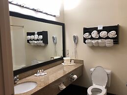 Comfort Suites Stevensville - St. Joseph