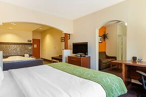 Comfort Suites Stevensville - St. Joseph