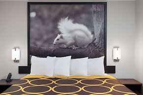 Super 8 by Wyndham Olney