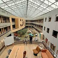 Cowool Lille Villeneuve D'Ascq - Ex Olivarius