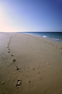 IFA Altamarena by Lopesan Hotels - All Inclusive