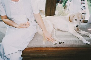 Hotel Eco Boutique Bidasoa