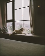 Hotel Eco Boutique Bidasoa