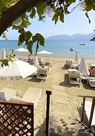 Faedra Beach Hotel