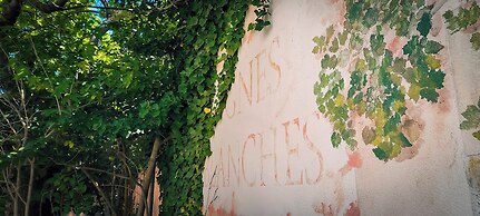 Les Vignes Blanches