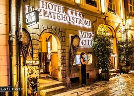 Hotel U Zlatého Stromu Prague by BHG