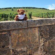 Hostellerie Cèdre & Spa • Beaune