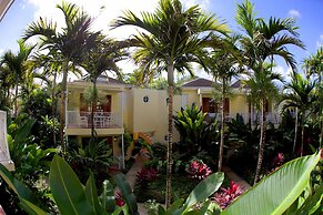 Negril Palms
