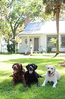 Montage Palmetto Bluff