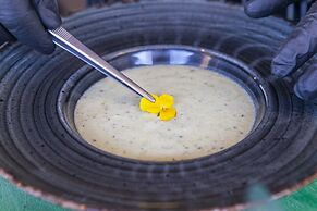 Giannoulis – Grand Bay Beach Resort - Adults Only