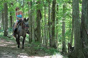 Lake Cumberland State Resort Park