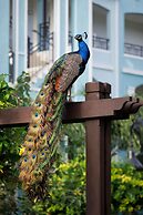 Sandals South Coast - ALL INCLUSIVE Couples Only