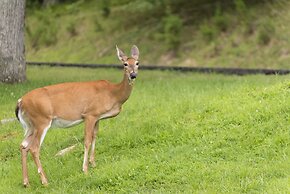Carter Caves State Resort Park