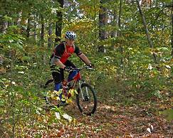 Pennyrile Forest State Resort Park