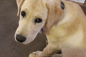 Cibolo Creek Ranch And Resort