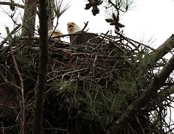 Kentucky Dam Village State Resort Park