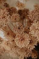 Hotel Posada de Valdezufre