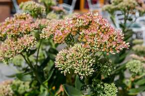 Corvin Hotel Budapest - Sissi wing