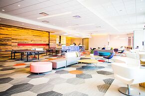 The Buckingham Hotel