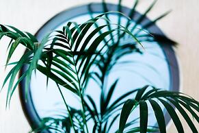 The Athens Mirabello