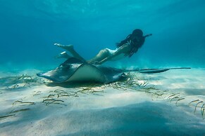 The Ritz-Carlton, Grand Cayman