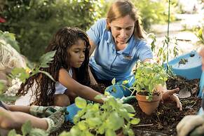 The Ritz-Carlton, Grand Cayman