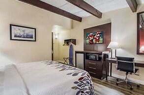 Red Roof Inn Madison Heights, VA