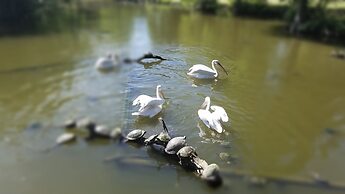 Travelers Inn & Suites