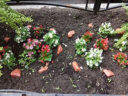 Boutique Hotel Eurasia