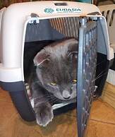 Boutique Hotel Eurasia