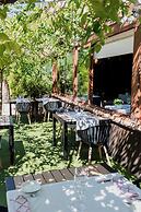 Acta Arthotel
