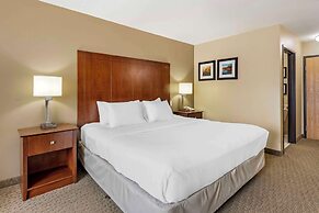 Comfort Inn & Suites East Moline near I-80