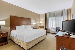 Comfort Inn & Suites East Moline near I-80