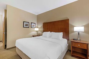 Comfort Inn & Suites East Moline near I-80
